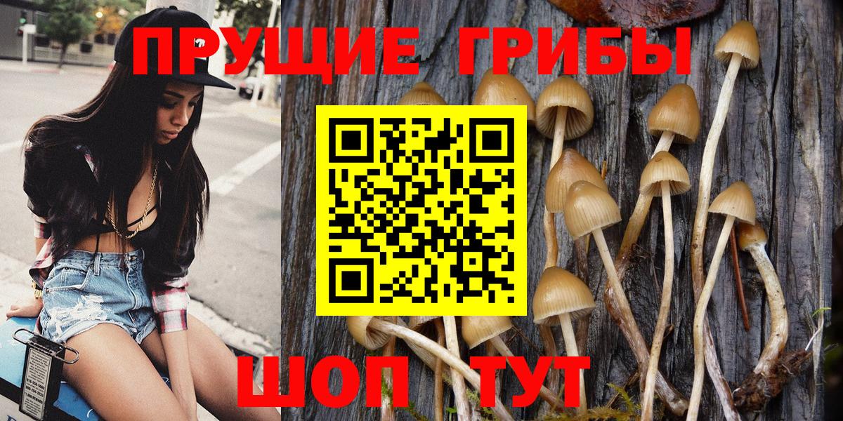 Галлюциногенные грибы Magic Shrooms  Вход с VPN  Галлюциногенные грибы мухоморы  Ухта 